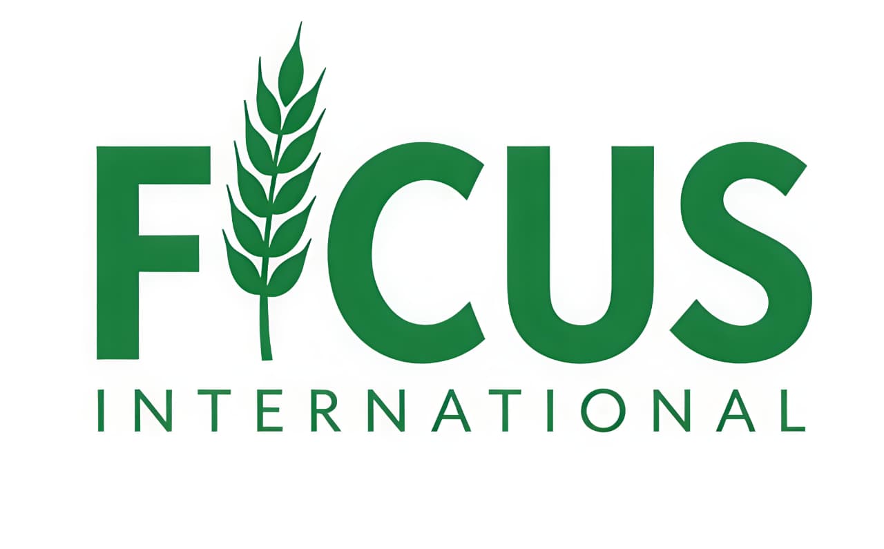 Ficus International